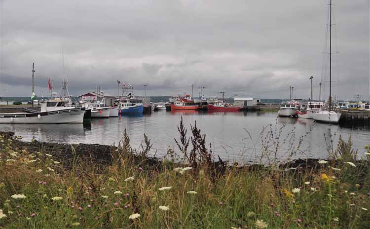 harbor